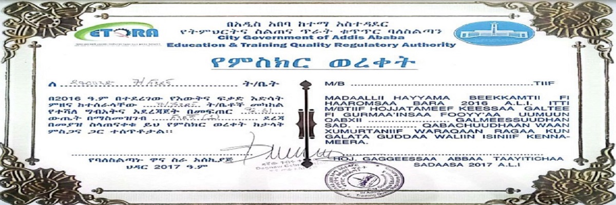Certificate of Excellence
